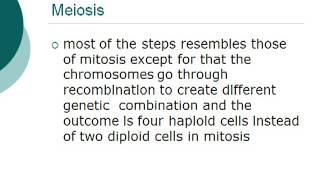 Grade 12 Biology Cell Division Meiosis [upl. by Wilder]