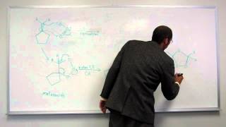 Ozonolysis of an Alkene  Reductive WorkUp 001 [upl. by Eiralam]