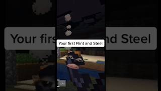 Your first flint and steel on Minecraft minecraft minecraftanimation minecraftshorts [upl. by Yborian]