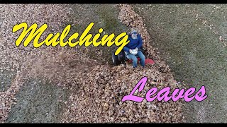 Mulching Leaves [upl. by Lap]