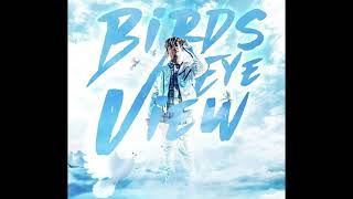 FREE Melodic Juice WRLD Type Beat 2024  quotBirds Eye Viewquot [upl. by Bee386]