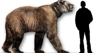 10 Unbelievable Animals that coexisted with humans  Prehistoric Beasts [upl. by Saul630]