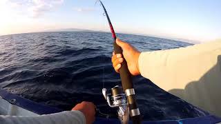 Pesca de pez vela con equipo de spinning [upl. by Friedlander]