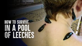 How to Survive a Pool of Leeches [upl. by Inasah]