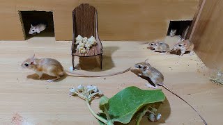 Cat Tv  Mice Games for Cats To Enjoy  10 Hours Mice Fun Video For Cats [upl. by Oznohpla]