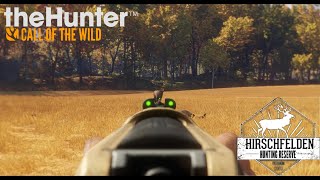 Cazando en Hirschfelden Corzo y Ciervo Comun  TheHunter Call of the Wild [upl. by Legyn687]