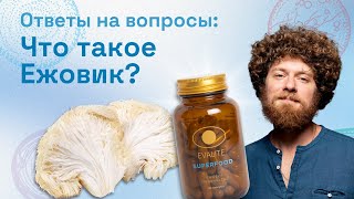 Всё что нужно знать о Ежовике от EVALITESuperfood [upl. by Therese]