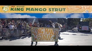 King Mango Strut Parade 2017 v1h2m UHD 4K [upl. by Sheilah514]