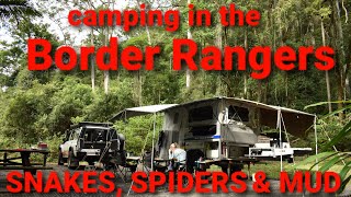 Peaceful rainforest camping until the crippy crawlies come out Border Rangers National Park [upl. by Lulu]