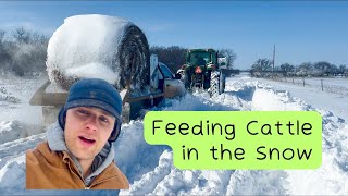 Feeding Cows In the Polar Vortex  Part 1  THE BLIZZARD [upl. by Llib]