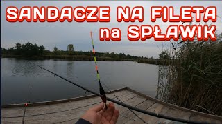 Sandacze na Fileta z ryby Metoda Spławikowa [upl. by Intosh]