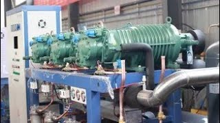 Bitzer Compressor Working  Refrigeration System [upl. by Anahgem59]