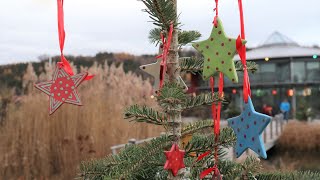 Weihnachtsmarkt in Herzogsägmühle [upl. by Eniotna]