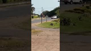 WATCH Passerby killed during cashintransit heist [upl. by Ellon937]