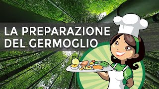 Il germoglio di bambù in cucina come si prepara [upl. by Llehsem]