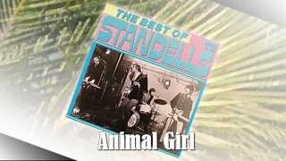 The Standells  Animal Girl [upl. by Robinet190]