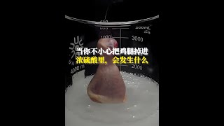 當你不小心把一根新鮮大雞腿，掉到濃硫酸裡怎麼辦 科普一下 漲知識 化學實驗 內容啟發搜索 [upl. by Akimit]