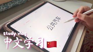 24hrs before my hsk 2 exam 😵‍💫🇨🇳 STUDY VLOG [upl. by Leveridge924]