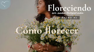 Cómo florecer  ANC Podcast [upl. by Eerrehs]