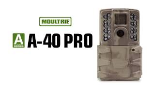 Moultrie A40 Pro Game Camera 2018  MCG13273  Product Video [upl. by Chaffinch982]