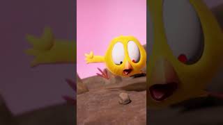 Earthquake earthquake Shorts Chicky  Cartoon for kids [upl. by Gnous882]