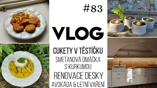 VLOG 83  letní vaření a renovace desky 💪 [upl. by Miquela466]