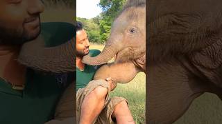 ❤️🐘 The Bond Between Elephants and Humans [upl. by Rosabelle]