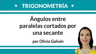 28 Trigonometría  Ángulos entre paralelas cortados por una secante [upl. by Eenel]