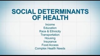 Social Determinants of Health [upl. by Coralyn879]