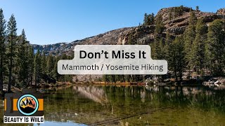 A Journey Through Mammoth and Yosemites Nunatak Nature Trail [upl. by Davida362]