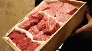 Japanese Wagyu amp Horumon Yakiniku Restaurant Experience [upl. by Nathanael]