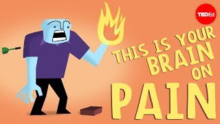 How does your brain respond to pain  Karen D Davis [upl. by Starla274]