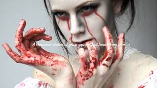 Apocalyptica ft Lacey Sturm Broken Pieces lyrics [upl. by Scutt]