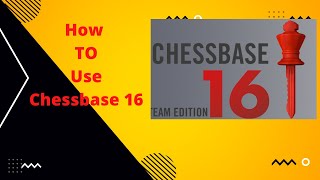 How to Use Chessbase 16 [upl. by Enelegna114]