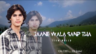 Jaane Wala Sanp Tha  Official Video  Walayat Khan  ImWaqarKhan  teamwallu [upl. by Austreng]