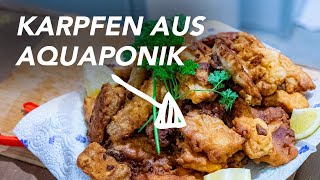 Karpfen im Bierteig – Simples Rezept Karpfen aus der Aquaponik [upl. by Adnalro]