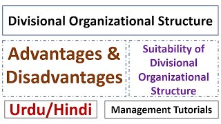 What is Divisional Organizational Structure SuitabilityAdvantagesDisadvantagesUrduHindi [upl. by Oirifrop]