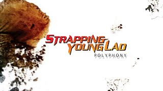 STRAPPING YOUNG LAD  POLYPHONY LYRIC VIDEO [upl. by Brynne581]