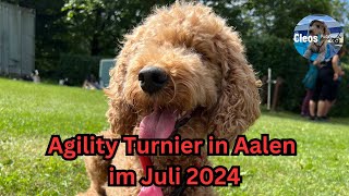 Agility Turnier in Aalen im Juni 2024 [upl. by Maisel618]