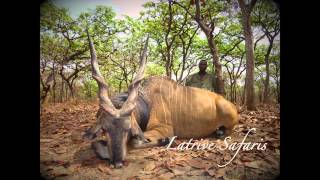 Cameroon Latrive Safaris [upl. by Aiuhsoj]