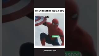 When Testers Find a Bug Memes Compilation [upl. by Aleit]