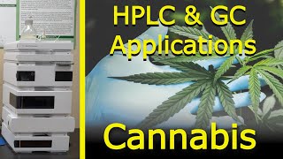 Cannabis  Using HPLC and GC to measure cannabinoids [upl. by Lonyer]