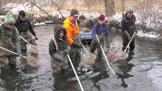 In the Field with Zoology 511 The Ecology of Fishes [upl. by Nyrhtak]