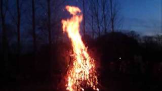 Wassailing in a Hampshire orchard [upl. by Acir18]