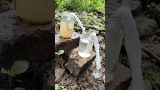 Making Amazing Dirty Water purification Filter 😱 Making Dirty Water Filter survival watercamping [upl. by Carnay]