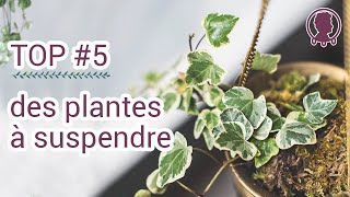 5 plantes à suspendre dans un macramé [upl. by Asyral29]