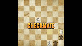 End play checkmate chess endgame [upl. by Bowman]