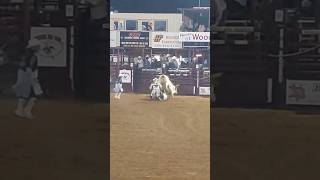 Bullriding  Rodeo  PRCA  Hudson Williams bull cowboys clown [upl. by Eresed]