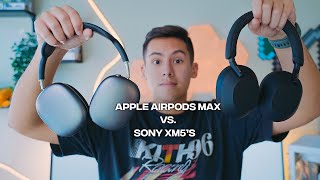 Sony WH1000XM5 vs AirPods Max  Which should you buy in 2024 [upl. by Aliakim864]