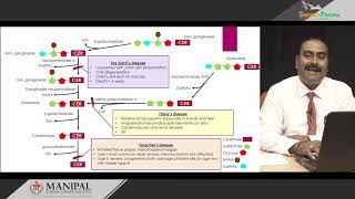 58 Inborn errors of lipid metabolism Lipid storage lysosomal oxidation disorders [upl. by Velleman506]